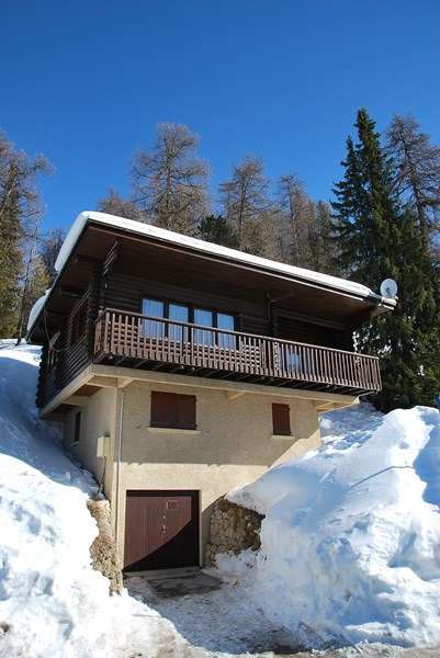 4 pièces - SPRINGBOCK 8 - ref LP SBOCK 8 - 3