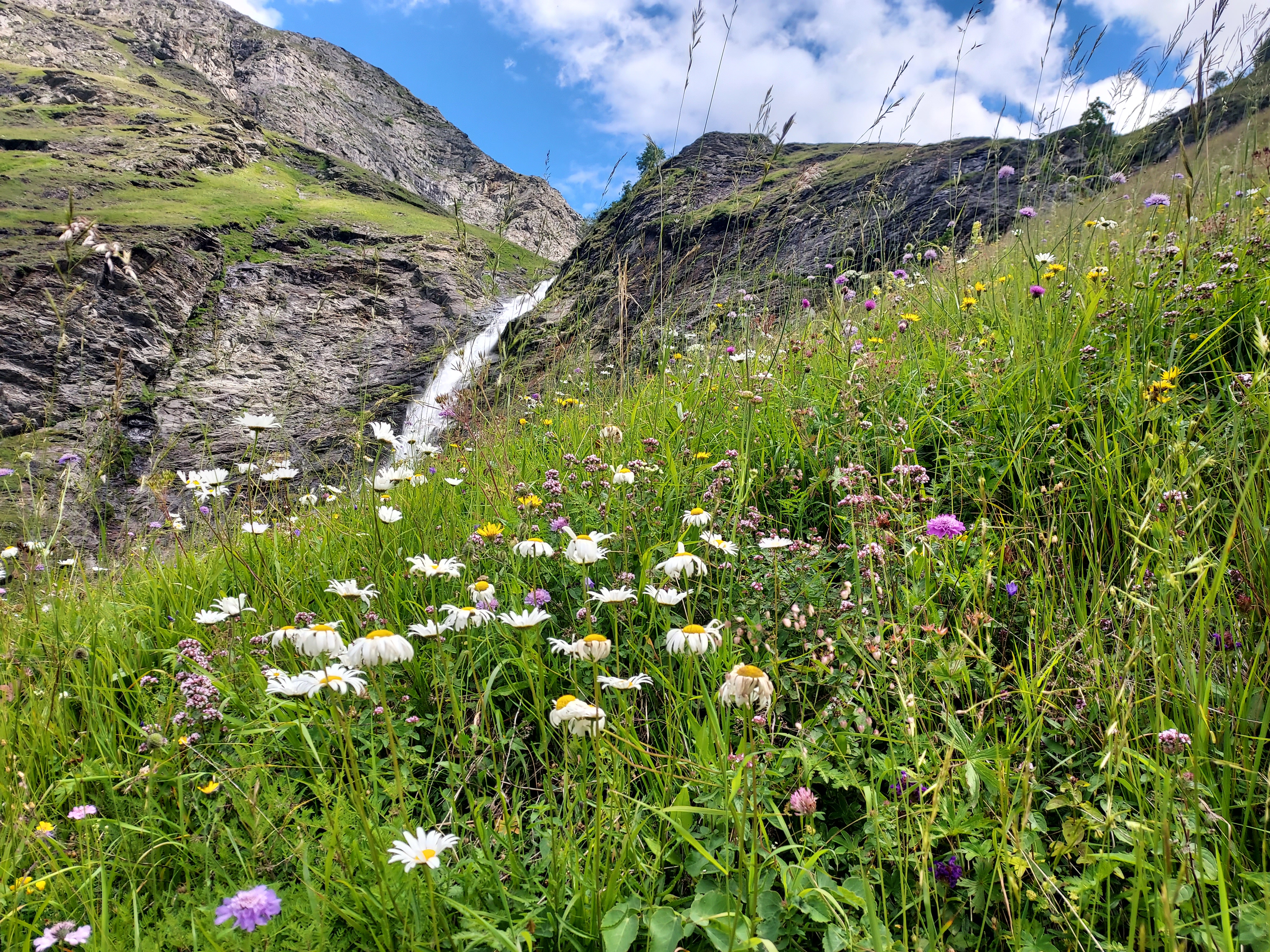 3 pièces + coin montagne - LES TERRASSES DE LA VANOISE B25 - ref CHA TER B25 - 9