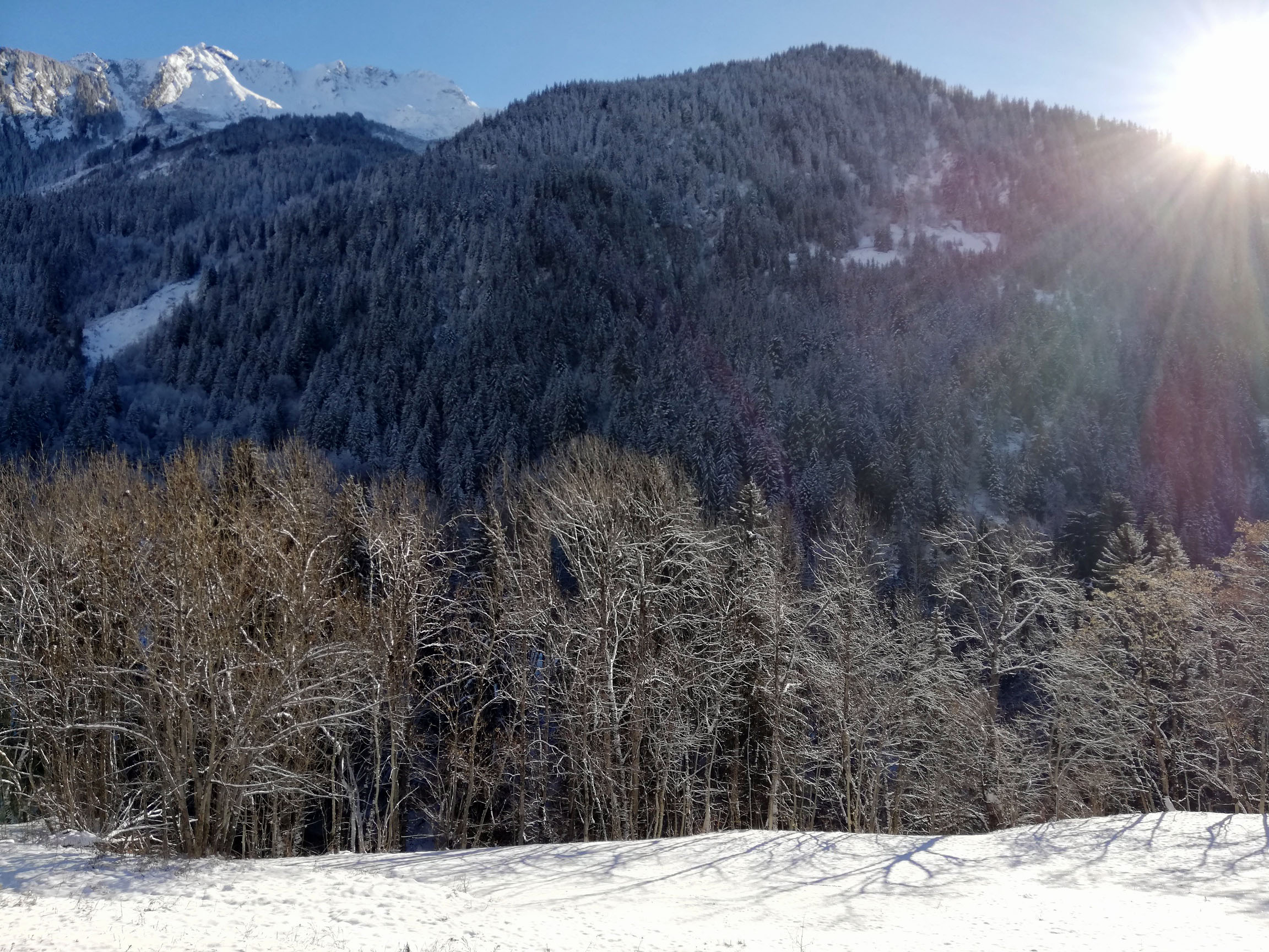 5 pièces - LES TERRASSES DE LA VANOISE A21 - ref CHA TER A21 avec forfait(s) de ski - 36