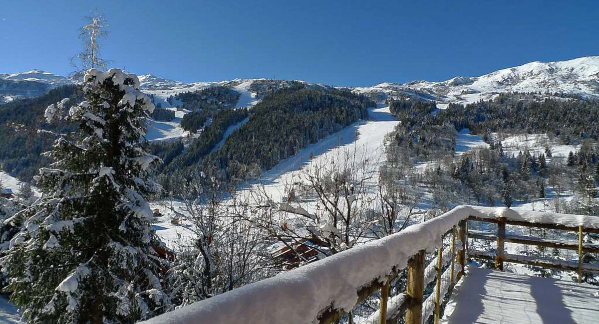Photo of CHALET LA FORET 