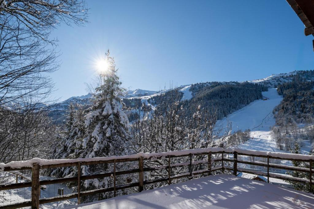 Photo of CHALET LA FORET 