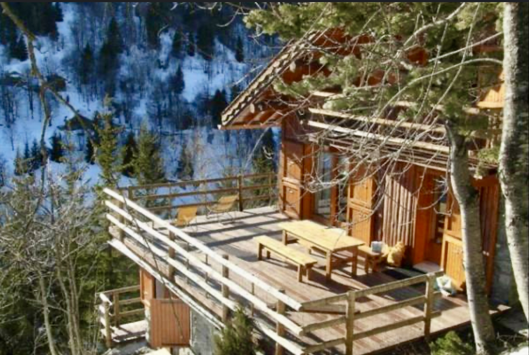 Photo of CHALET LA FORET 