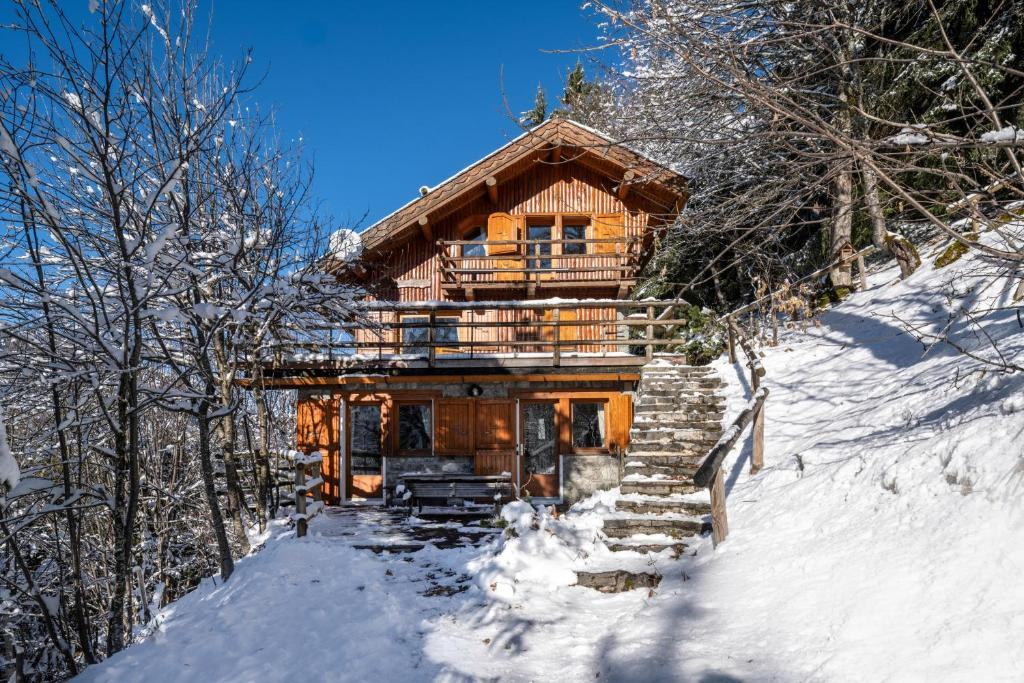 Photo of CHALET LA FORET 